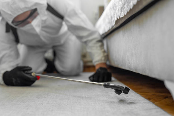 Professional Bed Bug Control technician working in Troy Hills, NJ