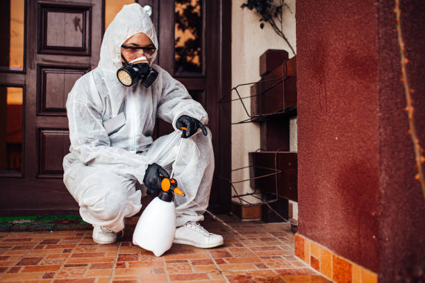 Reliable Bed Bug Control contractor in Troy Hills, NJ by Nex Pest Control