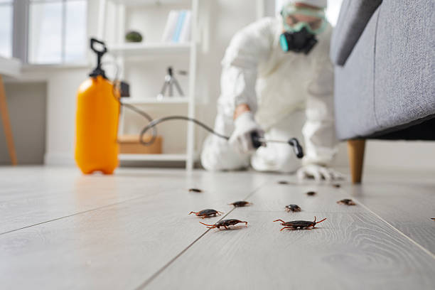 Trusted Cockroach Control service in Troy Hills, NJ - Nex Pest Control