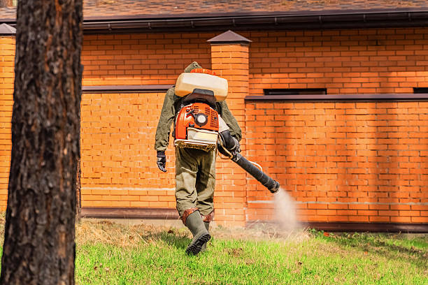 Trusted Mosquito Control service in Troy Hills, NJ - Nex Pest Control